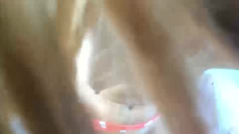 Snapshot of aisha_violeht chatting on February 25, 2:37 pm aisha_violeht online show from February 25, 2:37 pm