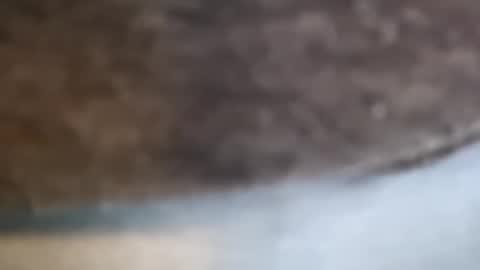 Snapshot of aj297914 chatting on February 17, 3:14 am aj297914 online show from February 17, 3:14 am