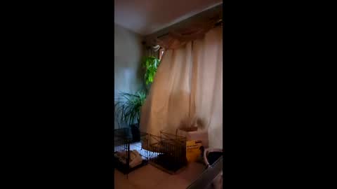 ajiii1313 online show from April 3, 11:41 am