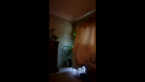 ajiii1313 online show from April 4, 9:34 pm