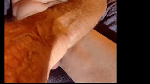 Snapshot of akiwi2 chatting on December 20, 10:05 am akiwi2 online show from December 20, 10:05 am