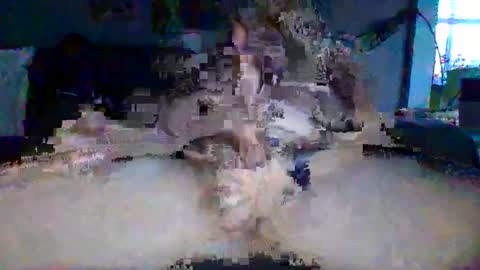 akpchi1984 online show from March 16, 11:42 pm