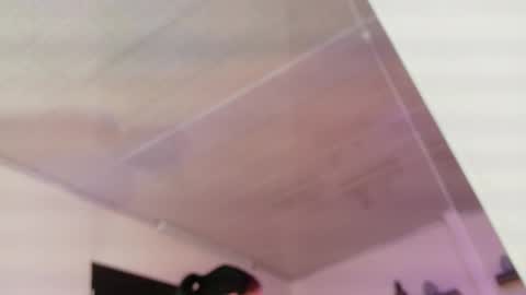 Maeve  online show from February 1, 11:20 am