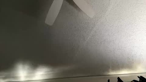 Dinky online show from January 7, 5:26 pm