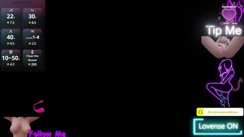 Snapshot of alaskasky chatting on February 3, 12:36 am TheAlaskaSky online show from February 3, 12:36 am