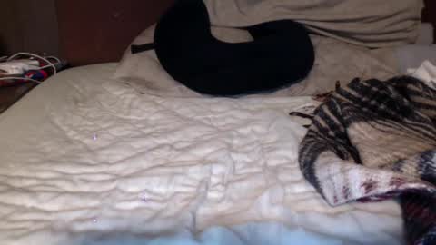 Snapshot of albertalbert9 chatting on December 13, 7:25 am albertalbert9 online show from December 13, 7:25 am