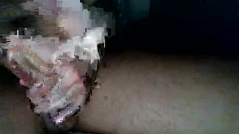 Snapshot of aldous_fuxley chatting on February 20, 6:48 am aldous_fuxley online show from February 20, 6:48 am