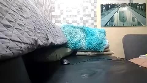 haden online show from April 1, 2:23 am