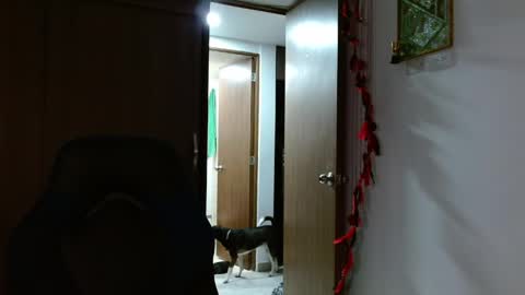 Snapshot of alejo_hot23 chatting on June 6, 6:45 pm David online show from June 6, 6:45 pm