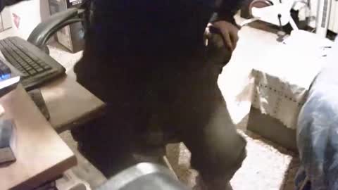 Snapshot of alex81pv1981 chatting on December 8, 6:50 pm alex81pv1981 online show from December 8, 6:50 pm