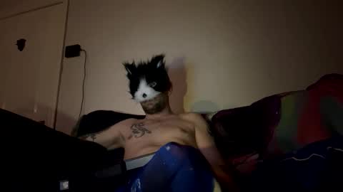 alex_essex69 online show from February 26, 12:42 am