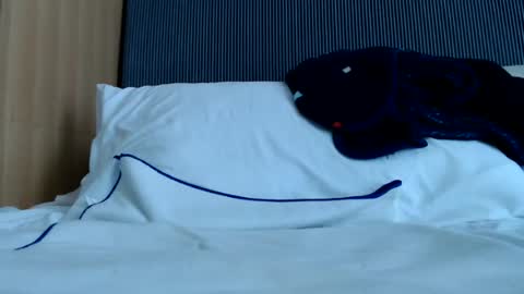Snapshot of alex_nicha chatting on June 13, 6:33 am Nicha online show from June 13, 6:33 am