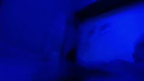 Snapshot of alexboy5014 chatting on May 17, 1:25 am alexboy5014 online show from May 17, 1:25 am