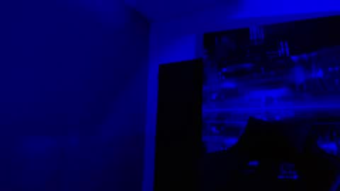 alexgiraldo__ online show from May 3, 11:05 am