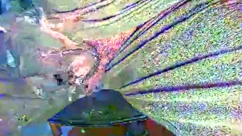 Snapshot of alexhot4her chatting on October 27, 11:20 pm Alex online show from October 27, 11:20 pm