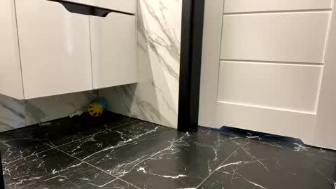 Alex online show from April 28, 4:34 pm