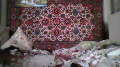 Snapshot of alferezsolvajo chatting on July 22, 7:11 am alferezsolvajo online show from July 22, 7:11 am