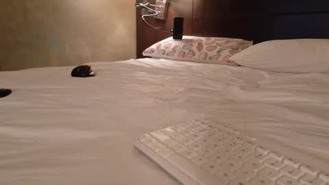 Daddy Girls online show from February 15, 11:01 pm