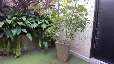 alice_simpson1 online show from October 18, 11:44 am