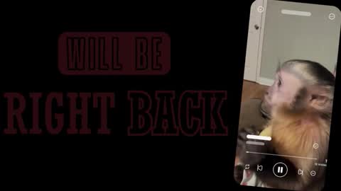 Snapshot of alice_sofia chatting on March 2, 1:07 pm Sofia online show from March 2, 1:07 pm