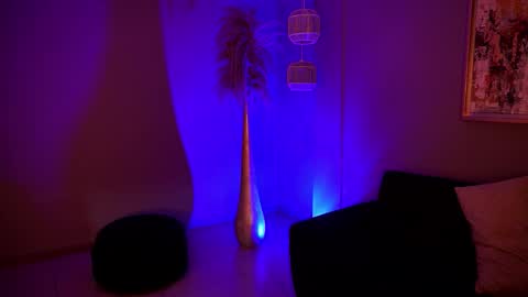 Alice online show from February 5, 12:37 am