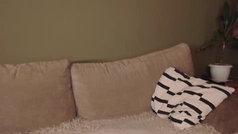 alisaxxxshy online show from February 3, 6:40 am