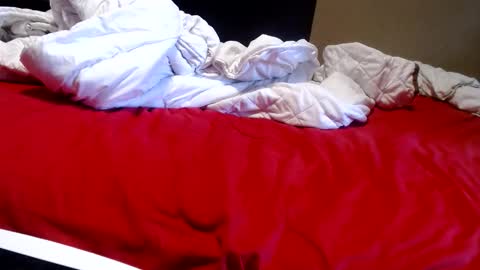 Snapshot of alissonnat chatting on May 20, 7:36 am Alissonnat online show from May 20, 7:36 am
