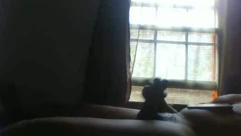 Snapshot of allbermy chatting on November 11, 6:08 pm allbermy online show from November 11, 6:08 pm