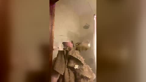 allisonlove2 online show from April 9, 11:32 pm