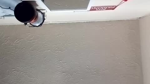 Snapshot of almightyjesos chatting on October 30, 7:14 pm almightyjesos online show from October 30, 7:14 pm