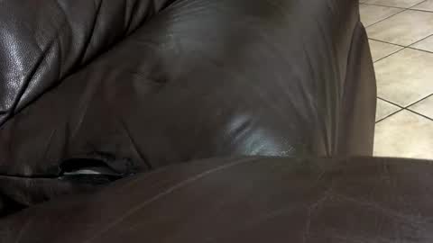 Snapshot of alto193cm chatting on February 12, 6:58 pm kenzo online show from February 12, 6:58 pm