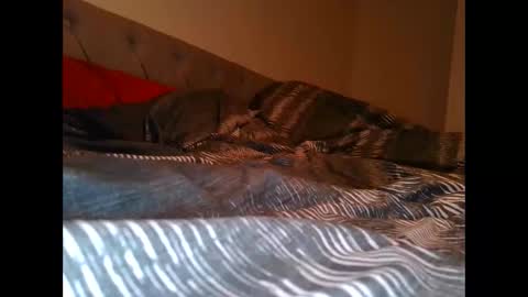 alwaysdownforwhatev online show from October 26, 4:40 am