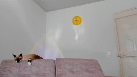 Tammy online show from February 15, 8:54 pm