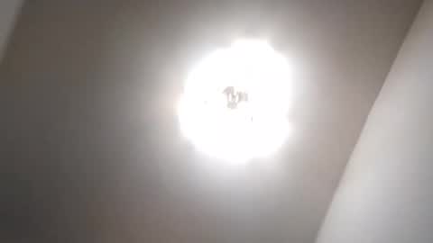 Petruss s Csabesztoo online show from January 17, 3:34 am