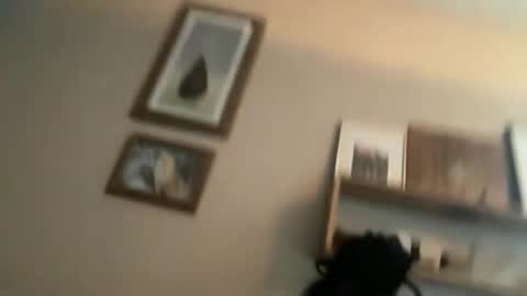 Snapshot of ambermoss7 chatting on June 10, 3:44 pm ambermoss7 online show from June 10, 3:44 pm