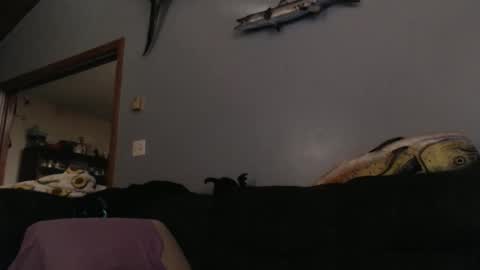 ambers666999 online show from October 25, 2:19 am