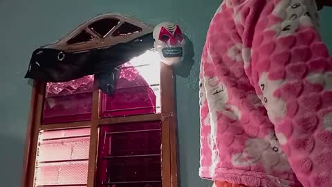 Snapshot of ameli_and_lucas chatting on November 14, 3:44 pm Amelia Lucas online show from November 14, 3:44 pm