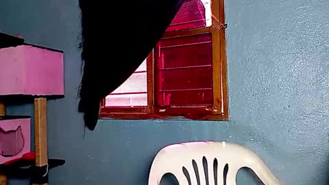 Snapshot of ameli_and_lucas chatting on November 17, 3:18 pm Amelia Lucas online show from November 17, 3:18 pm