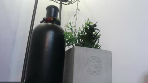 Snapshot of amy_swan09 chatting on February 4, 5:23 pm Amy online show from February 4, 5:23 pm