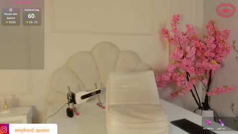 Amykord online show from November 2, 11:34 am