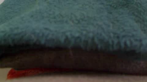 anaiserebel online show from January 4, 7:34 am