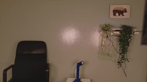 Kendra  online show from February 3, 10:20 am