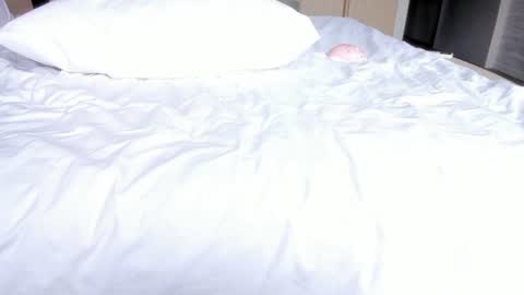 angel_andreww online show from July 29, 6:33 am