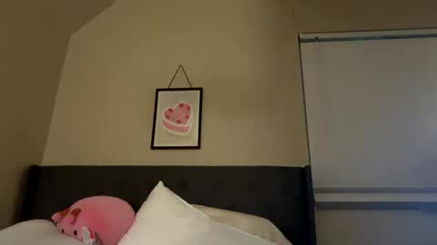 Snapshot of angelgrl444 chatting on February 23, 9:00 am Princess Peach online show from February 23, 9:00 am