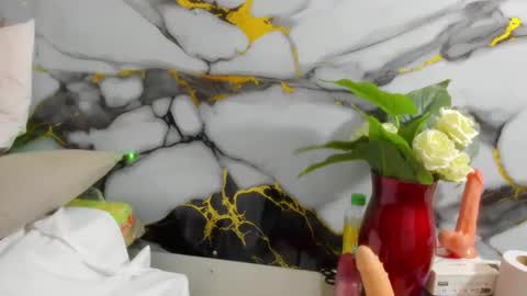 Snapshot of angelierose chatting on March 14, 11:54 pm angelierose online show from March 14, 11:54 pm