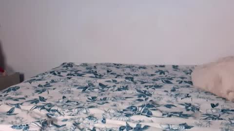 Angelinhaa  online show from January 17, 4:06 am