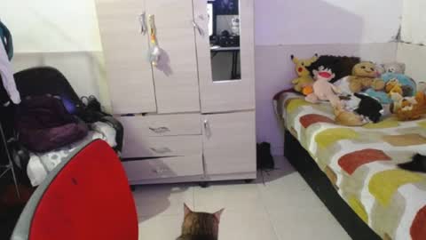 Snapshot of angelswhithe chatting on September 25, 7:06 pm angels online show from September 25, 7:06 pm