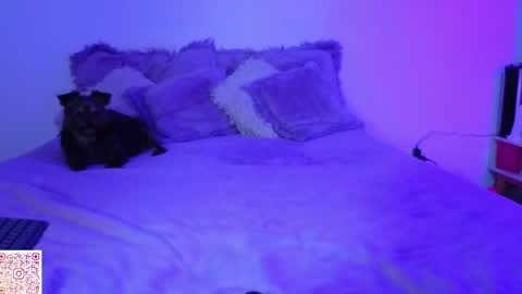 Snapshot of angie_bigboobs chatting on April 22, 11:28 pm Angie Gomez Onlyfans angie bigboobs FREE online show from April 22, 11:28 pm