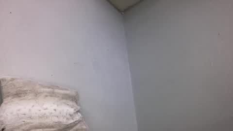 Animeboygirls online show from March 16, 2:39 am