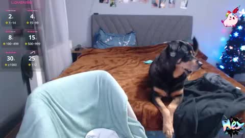 Anadirectgirl online show from December 31, 10:34 pm